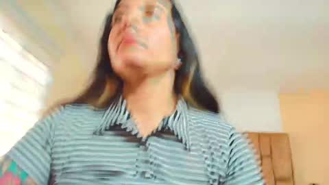 Kitten online show from 3, 12, 2025