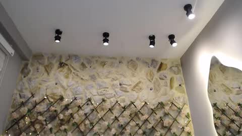 NEBULA  online show from 17, 1, 2026