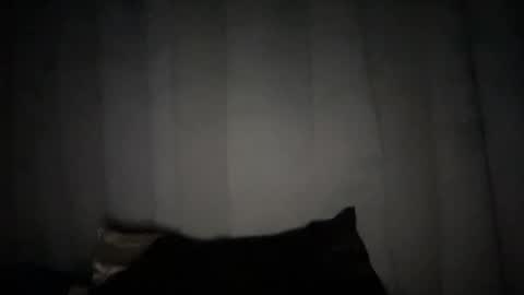 Snapshot of naughtyrosecum chatting on 6, 1, 2025 Rose Wilson online show from 6, 1, 2025