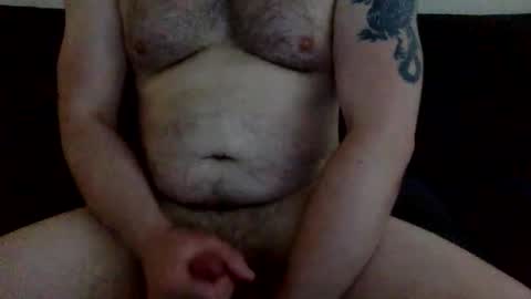 navyfox88 online show from 11, 12, 2024