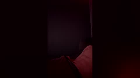 Snapshot of nc9800 chatting on 3, 3, 2026 nc9800 online show from 3, 3, 2026