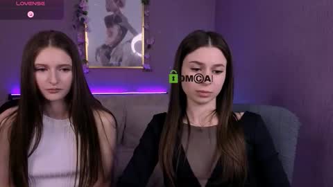 Meow online show from 8, 3, 2026