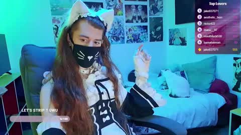 Neko online show from 7, 2, 2026