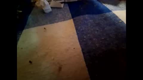 Snapshot of nembo1974 chatting on 1, 11, 2025 boo online show from 1, 11, 2025