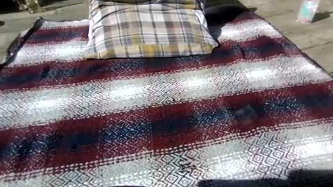 neosohorny online show from 26, 4, 2026