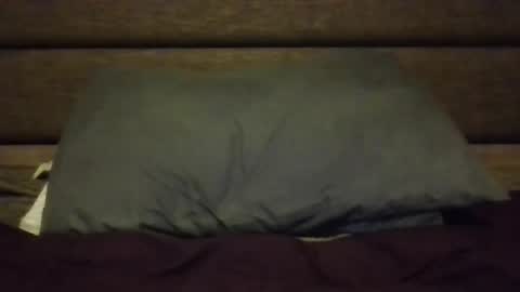 Nerfylil online show from 8, 1, 2026