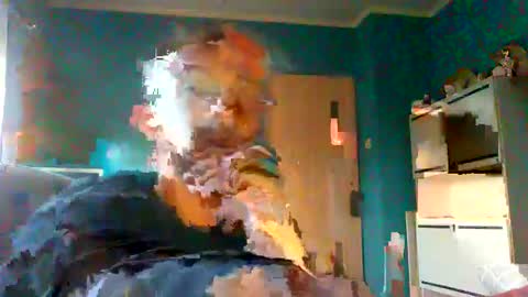 Mark online show from 8, 2, 2025