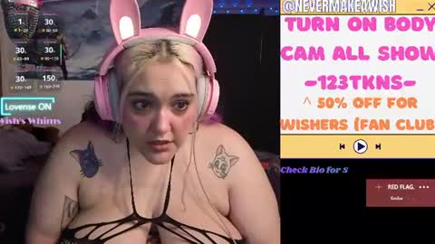 Snapshot of nevermakeawish chatting on 7, 7, 2026 Wishs Playground online show from 7, 7, 2026