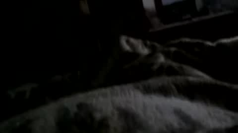 Snapshot of neverseentthatb4 chatting on 11, 12, 2024 Matt online show from 11, 12, 2024