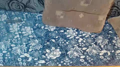 Lilly  online show from 1, 12, 2025