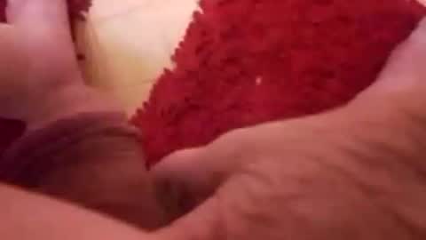 Snapshot of newbookwriter chatting on 8, 1, 2025 BookWriter online show from 8, 1, 2025