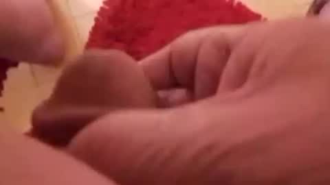 Snapshot of newbookwriter chatting on 11, 1, 2025 BookWriter online show from 11, 1, 2025