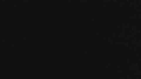 newtswantingfun online show from 11, 9, 2025