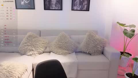   online show from 6, 11, 2025