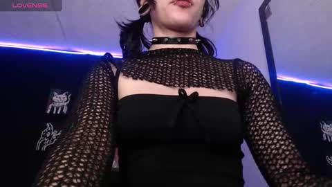  niakat  online show from 17, 12, 2024