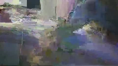 niceausbloke online show from 27, 3, 2026