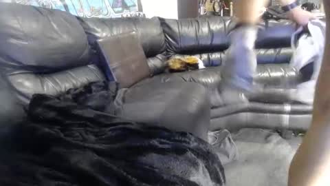 niceonebrov online show from 15, 3, 2026