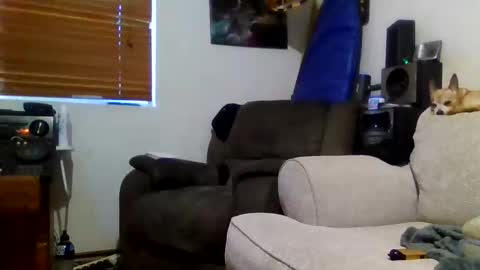 Sexiishaine online show from 20, 2, 2026