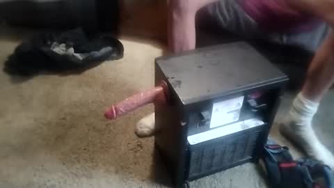 niceviewfromhere online show from 21, 2, 2026