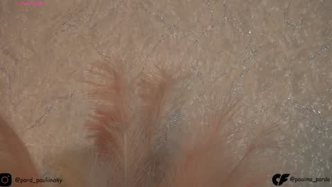 nichole__evans online show from 16, 12, 2024