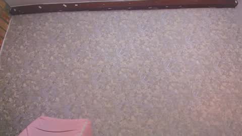 Nicol online show from 10, 1, 2025