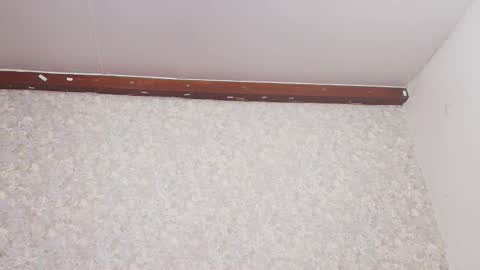 Nicol online show from 3, 3, 2025