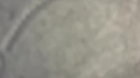 Nicoll  Independent model online show from 15, 4, 2026