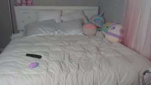 nikayasworld online show from 16, 12, 2024