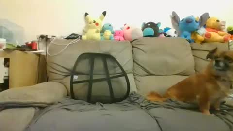 Brian and Logan Brogan online show from 18, 1, 2025