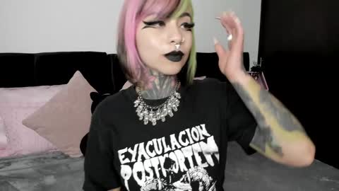 Nikki Ramone   online show from 23, 1, 2025