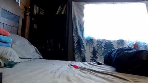 Nikki online show from 7, 2, 2025