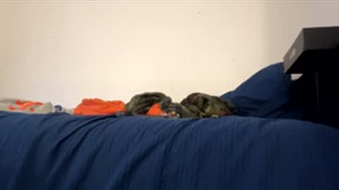 nikogigiii online show from 17, 1, 2026