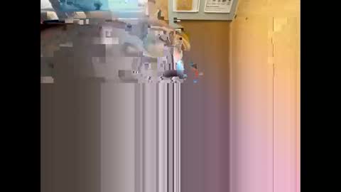 Nikolay online show from 12, 5, 2026