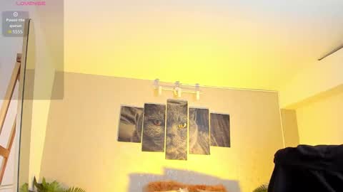 Nils online show from 7, 2, 2026