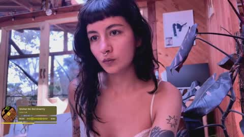 Snapshot of nina_just chatting on 11, 5, 2026 Nina. online show from 11, 5, 2026