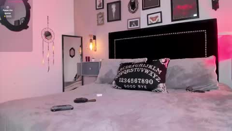 Alisson online show from 8, 2, 2026