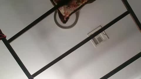 Snapshot of nipplechaser chatting on 18, 1, 2025 nipplechaser online show from 18, 1, 2025