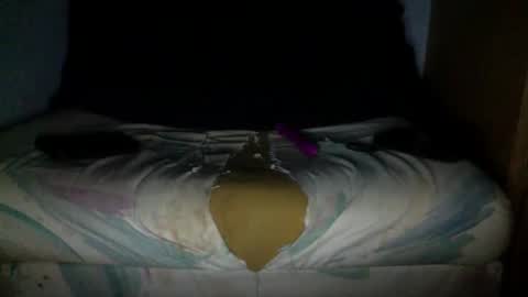 njp360 online show from 8, 4, 2026