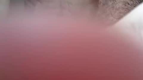 nkdarg online show from 7, 3, 2026