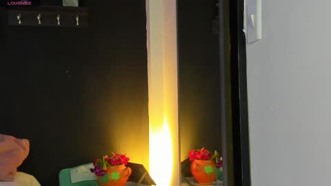 Noah  online show from 14, 1, 2026