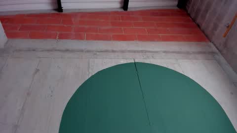 Noah online show from 19, 9, 2025