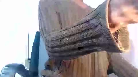 Noah Millers online show from 27, 1, 2025