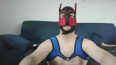 Snapshot of noapratzfr chatting on 11, 3, 2025 noapratzfr online show from 11, 3, 2025