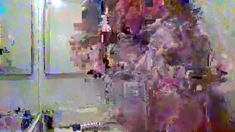 noboundariesinprivate online show from 18, 3, 2026