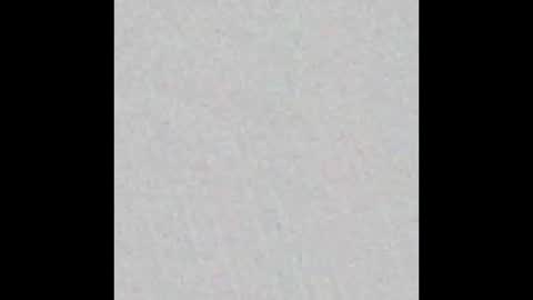 Nomie Fox online show from 11, 1, 2026