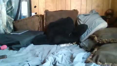 Noliana online show from 24, 11, 2025