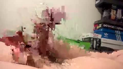 nolplus online show from 11, 2, 2025