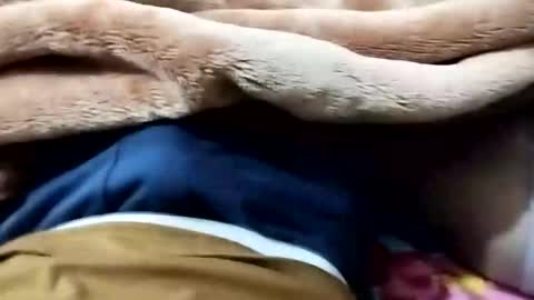 sim  nib online show from 12, 1, 2026