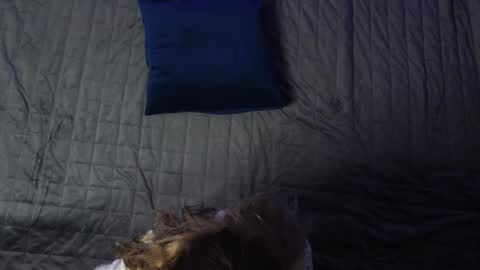 Snapshot of norakiso chatting on 11, 12, 2024 Eva online show from 11, 12, 2024