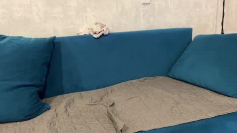 Snapshot of norakiso chatting on 29, 12, 2024 Eva online show from 29, 12, 2024